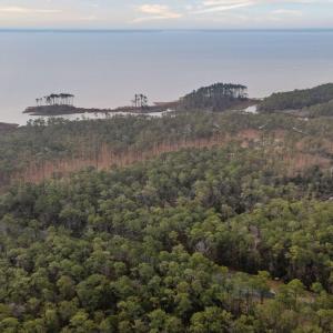 8-web-or-mls-DJI_20260114084013_0061_D