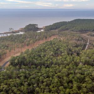 7-web-or-mls-DJI_20260114083953_0060_D