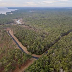 15-web-or-mls-DJI_20260114084413_0068_D