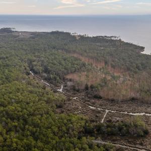 11-web-or-mls-DJI_20260114084156_0064_D