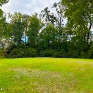 IMG_4844 marsh elder