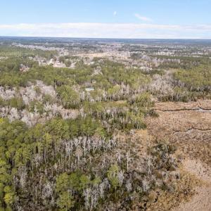 7-web-or-mls-DJI_20260115100551_0169_D