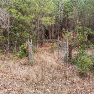 37-web-or-mls-DJI_20260115101537_0184_D