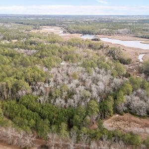 3-web-or-mls-DJI_20260115100504_0167_D