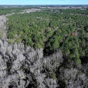 DJI_20251202060628_0664_D