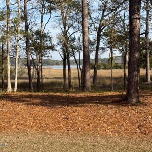Frontal to Marsh/River