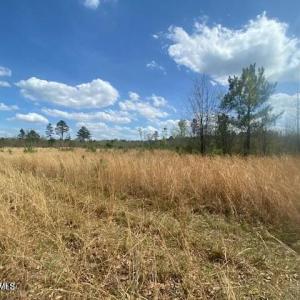 20250405214354456733000000-o