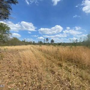 20250405214355158317000000-o