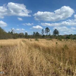 20250405214355886797000000-o