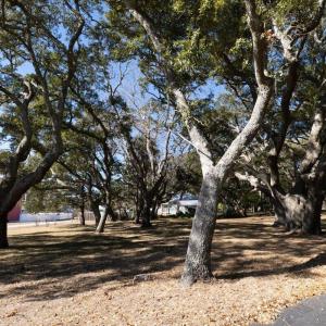 Lot 6 Stone Ballast Way OIB