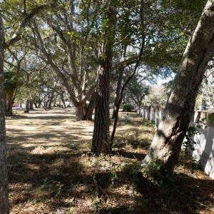 Lot 1 Stone Ballast Way OIB