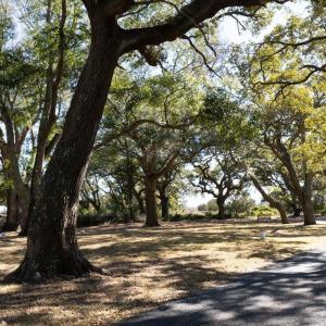 Lot 3 Stone Ballast Way OIB