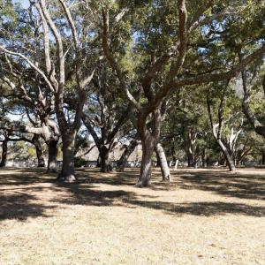 Lot 3 Stone Ballast Way OIB