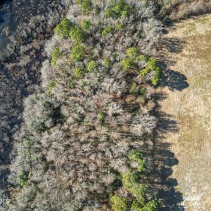 DJI_0908_pro_2550x1667