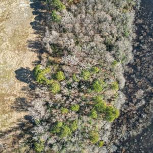 DJI_0913_pro_2550x1667