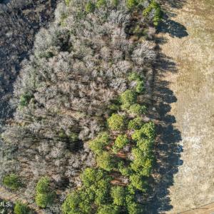 DJI_0906_pro_2550x1667