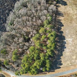 DJI_0904_pro_2550x1667