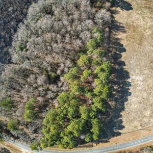 DJI_0905_pro_2550x1667