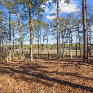 5-web-or-mls-1S3A7442