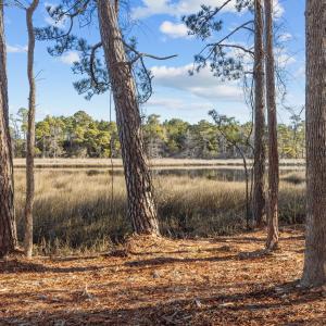 6-web-or-mls-1S3A7444