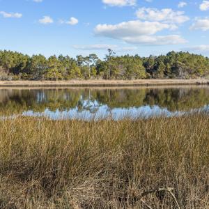 7-web-or-mls-1S3A7457