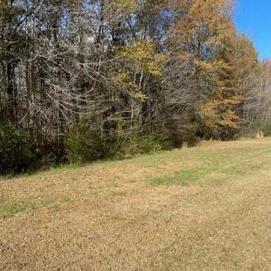 IMG_6402 (3)