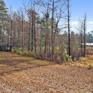 DJI_20260126114535_0043_D (1)