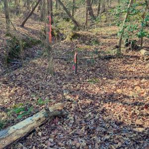 32. SW Corner Property Stake