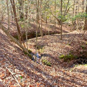 23. Ground Photo Seasonal Creek