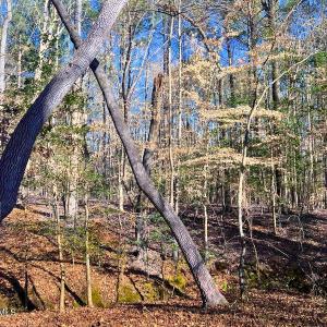 25. Ground Photo