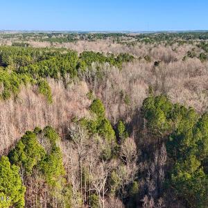 14. Drone Photo