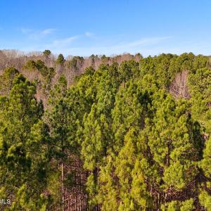 12. Drone Photo