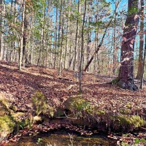 31. Ground Photo Seasonal Creek