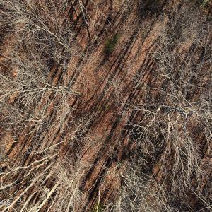 20. Drone Photo