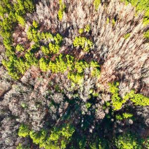 36. Drone Photo