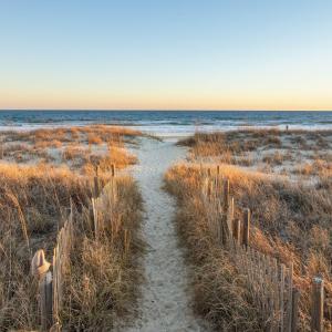 6-web-or-mls-1S3A0465