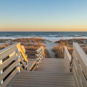 5-web-or-mls-1S3A0462