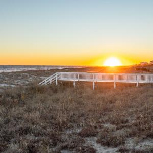 7-web-or-mls-1S3A0466