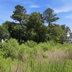 23-web-or-mls-1S3A0841