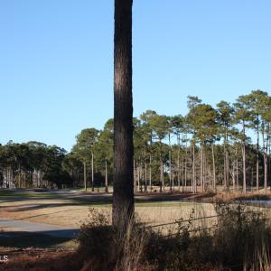 Golf and Water Homesite