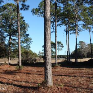 Homesite on Tiger's Eye