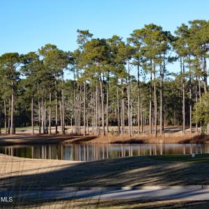 Tiger's Eye Views