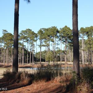 Pond View