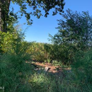 45 Acre Cut Over Old Log Deck