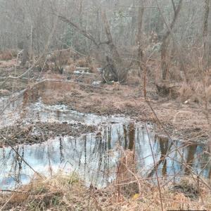 Screenshot 2026-01-20 at 8.41.27PM