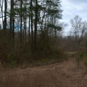 Screenshot 2026-01-20 at 8.40.05PM