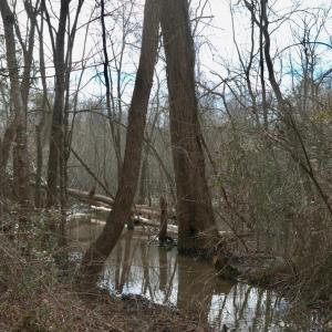 Screenshot 2026-01-20 at 8.40.48PM