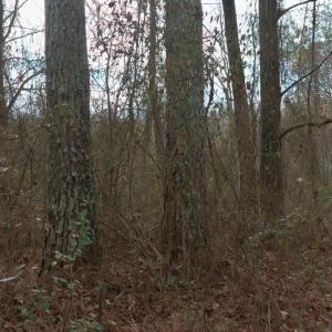 Screenshot 2026-01-20 at 8.40.29PM