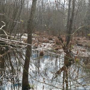 Screenshot 2026-01-20 at 8.41.14PM