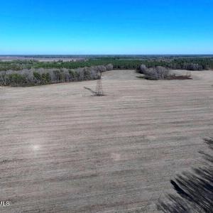 DJI_20260110074559_0705_D